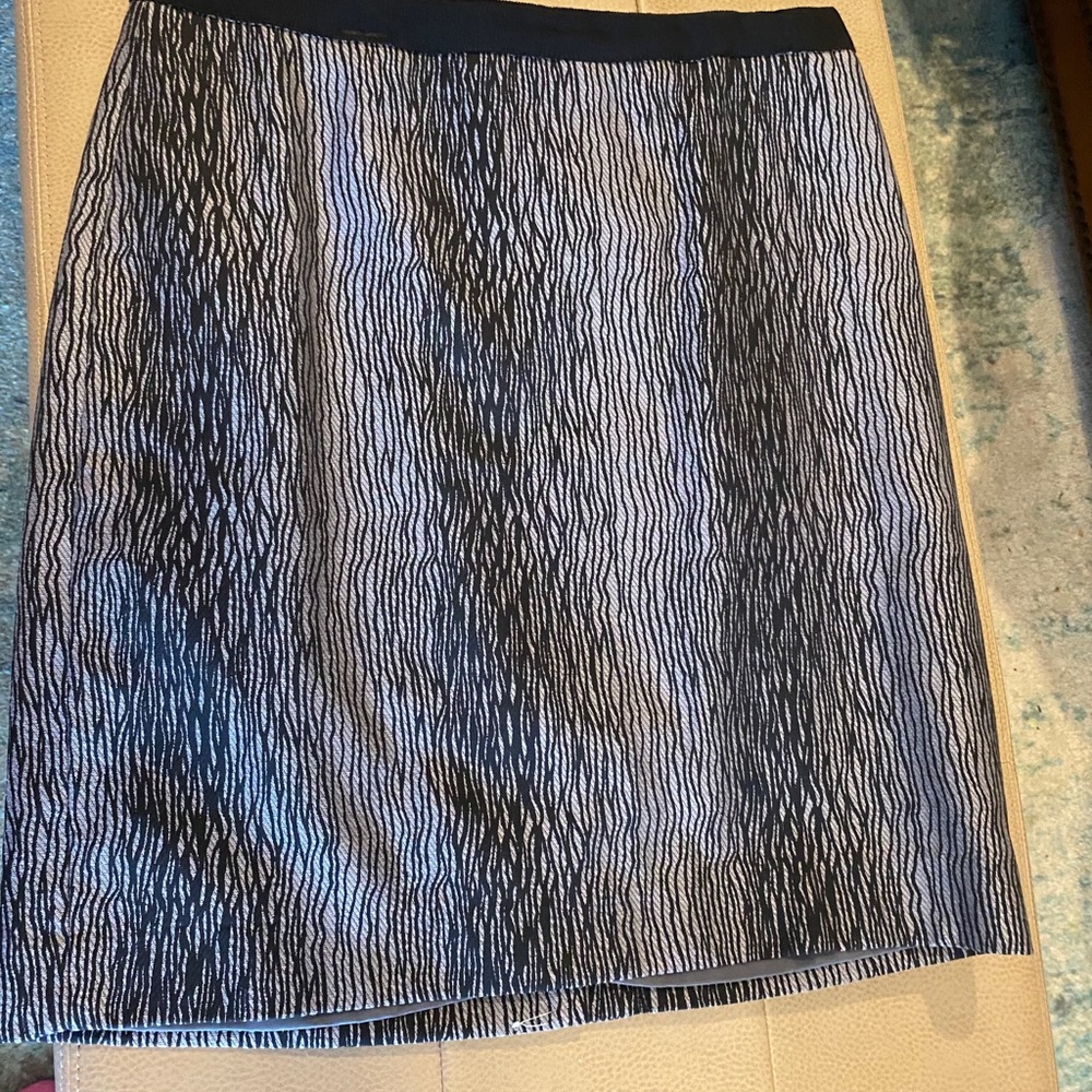 Ann Taylor Black and Gray skirt